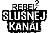 Stanice představuje české i zahraniční klipy od 60. let do současnosti, dává prostor také začínajícím amatérským kapelám. Podle vyjádření programového ředitele Jana Kinšta je Slušnej kanál moderní, drzou a inovativní televizní stanicí ctící rockové stálice.